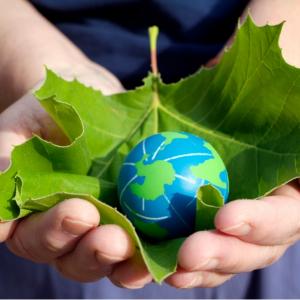 What is the difference between sustainable and sustainable